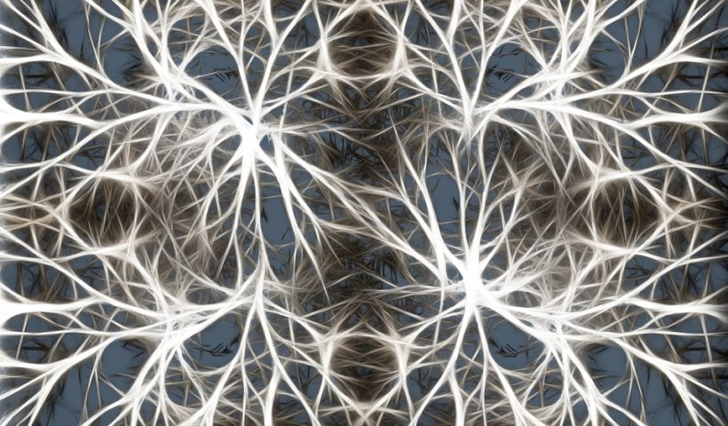 Bild von Neuronen, Gehirnzellen